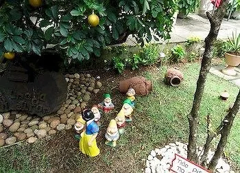 Pousada Pinheiros Recife Apartament